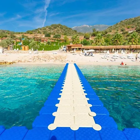Crogus Kalkan